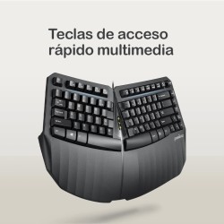 Teclado Ergonómico + Ratón USB Perixx 413 (ES)